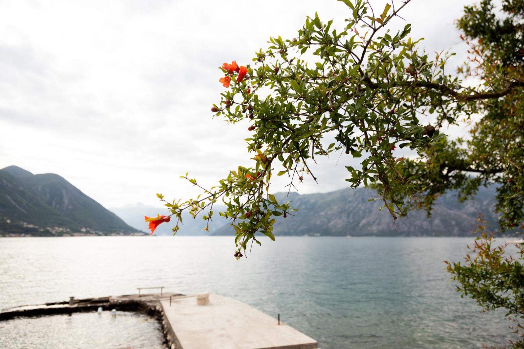 Apartments Djurovic Kotor Ngoại thất bức ảnh