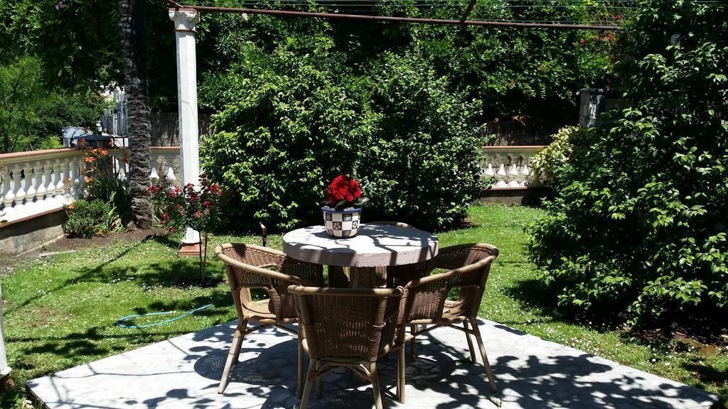 Apartments Djurovic Kotor Ngoại thất bức ảnh